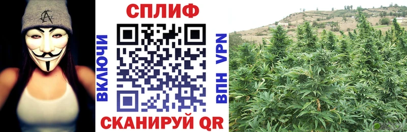 Купить наркотики сайты Заинск А ПВП Марихуана КОКАИН Мефедрон ГАШ