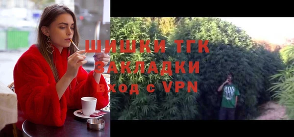 спайс Няндома
