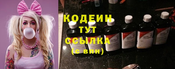 спайс Няндома