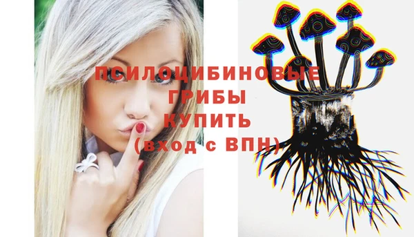 не бодяженный Нязепетровск