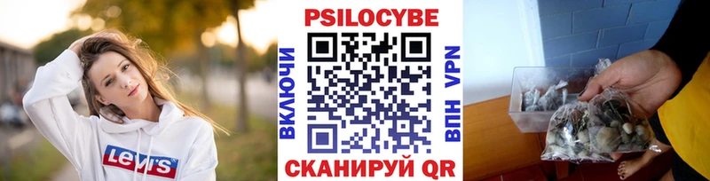 Галлюциногенные грибы прущие грибы  наркотики  Заинск 