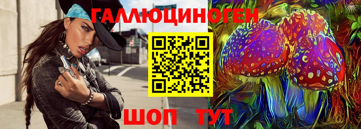 Галлюциногенные грибы Psilocybine cubensis Заинск