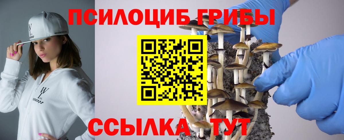 Псилоцибиновые грибы ЛСД  Вход с VPN  магазин  наркотиков  Заинск 
